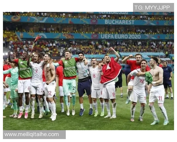 2016年瑞士与波兰足球赛前瞻及胜负预测分析