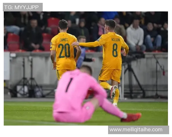 中园对阵捷克2018年精彩回顾与赛场瞬间分析