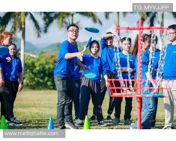 飞盘竞技的魅力揭秘：深入分析北京飞盘队的战术与策略MBA